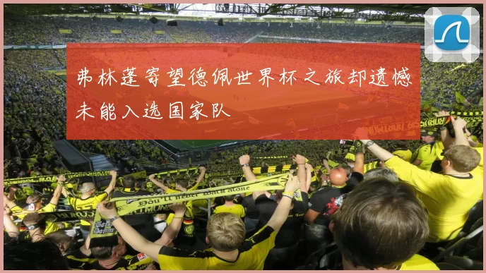 弗林蓬寄望德佩世界杯之旅却遗憾未能入选国家队
